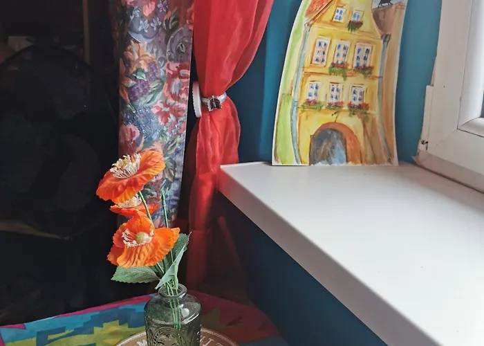 Studio Isabel Cieplice