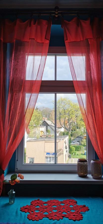Studio Isabel Cieplice