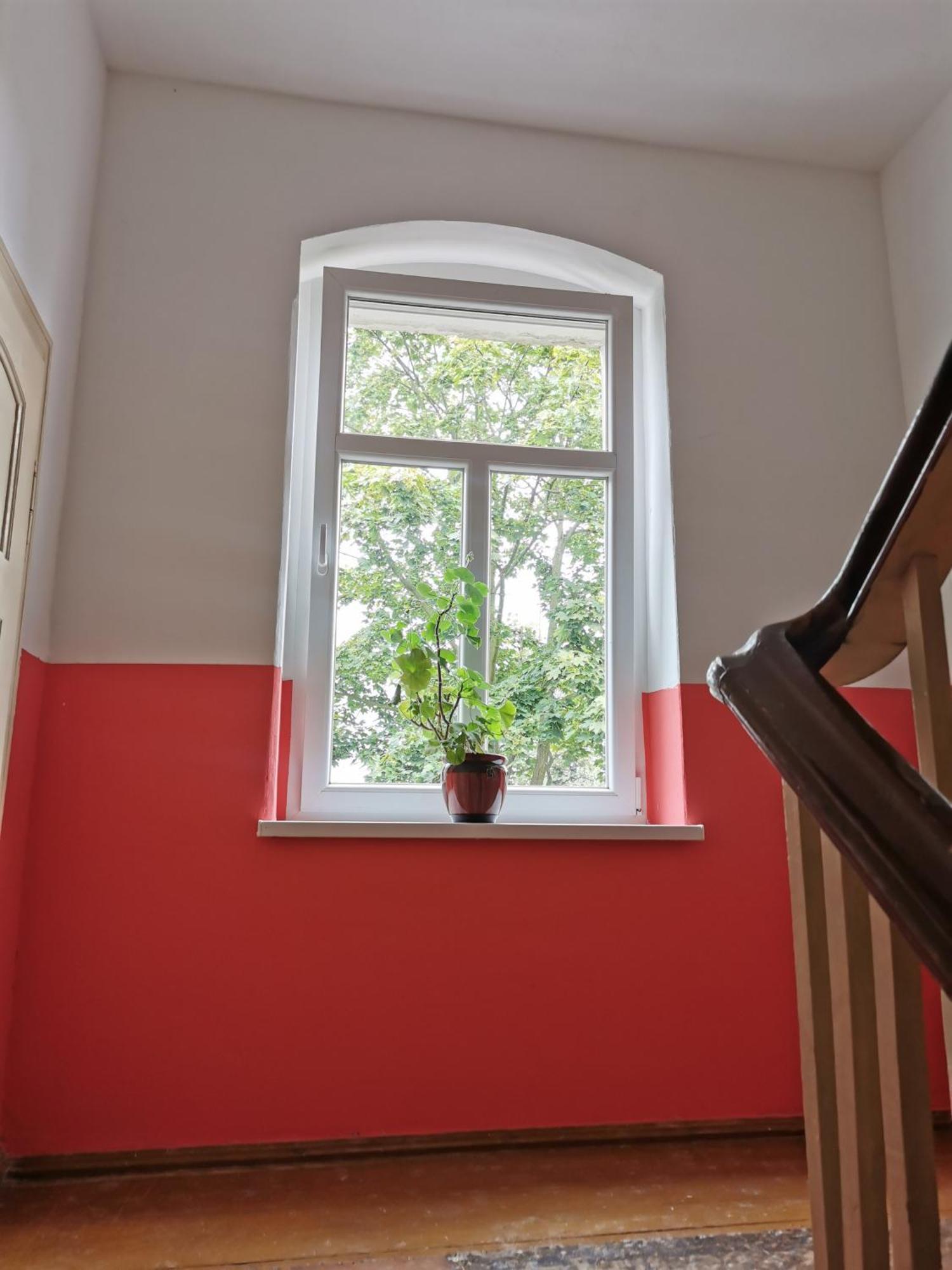 Studio Isabel Cieplice *